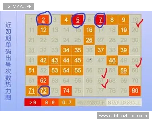揭秘六合彩选号技巧与策略，助你提高中奖几率的实用方法