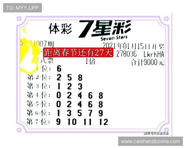 精准解析十一选五走势技巧，助力彩民提高中奖概率指南